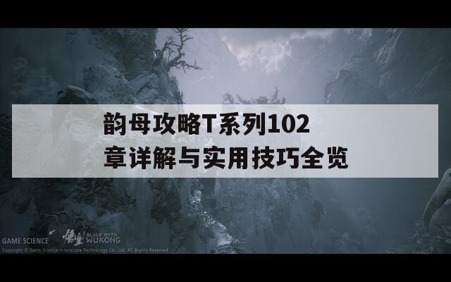 韵母攻略T系列102章详解与实用技巧全览