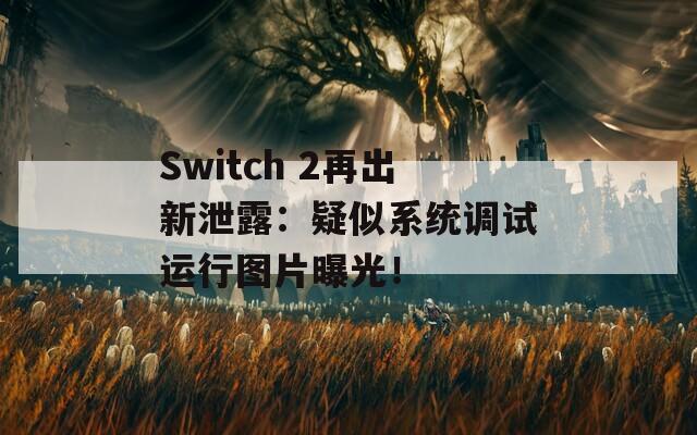 Switch 2再出新泄露：疑似系统调试运行图片曝光！