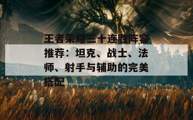 王者荣耀三十连胜阵容推荐：坦克、战士、法师、射手与辅助的完美搭配