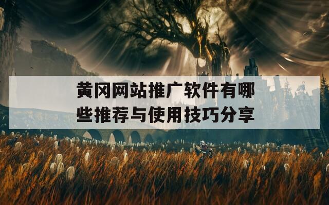 黄冈网站推广软件有哪些推荐与使用技巧分享