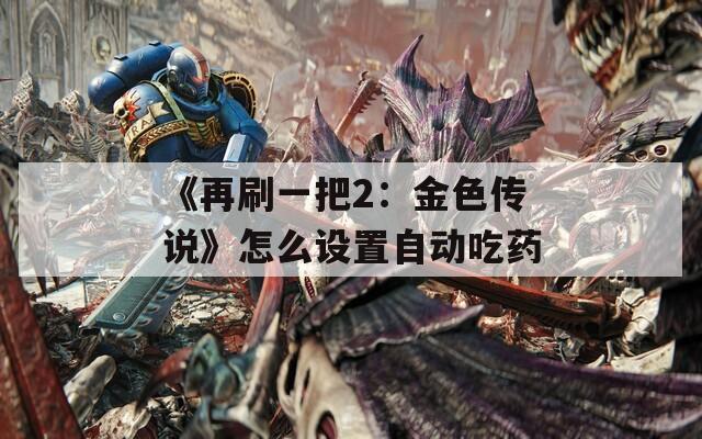 《再刷一把2：金色传说》怎么设置自动吃药