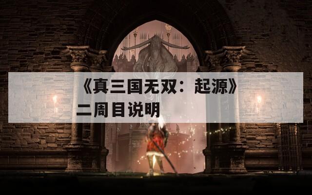 《真三国无双：起源》二周目说明