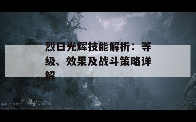 烈日光辉技能解析：等级、效果及战斗策略详解